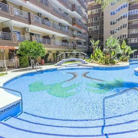 Beautiful Suite, Ideal Familias, Palm *