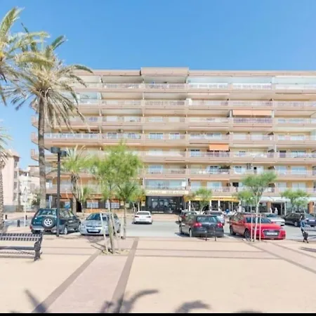 Beautiful Suite, Ideal Familias, Palm *